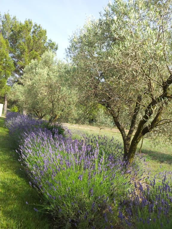 L'Amanderaie Piscine Privee A Cote De Lourmarin Luberon Apartment Cadenet Room photo